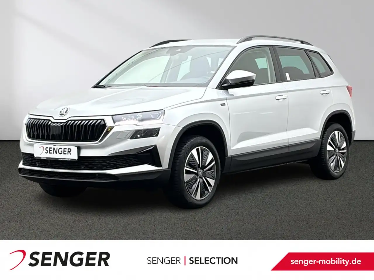 Skoda Karoq 2025