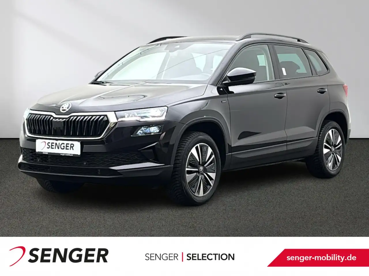 Skoda Karoq 2025