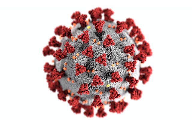 Auto-Import und Corona